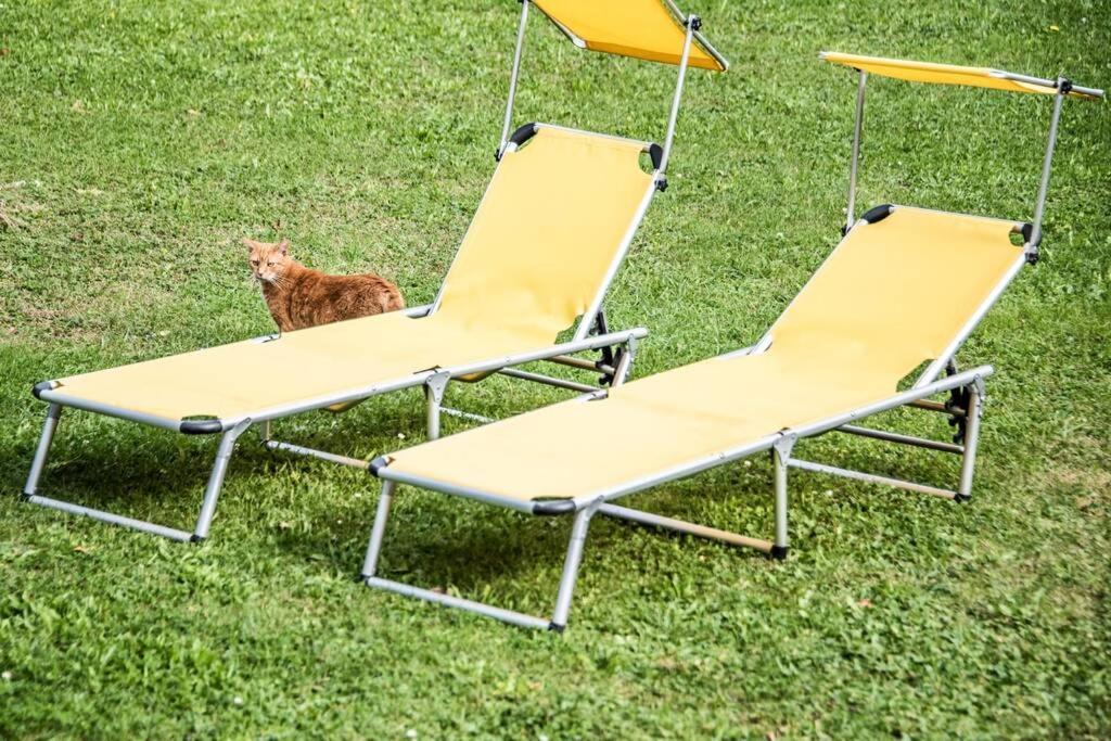 Apartment Pouringraz Fuer Kunst- Und Tennisliebhaber Dış mekan fotoğraf